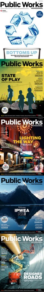 Public Works Professional