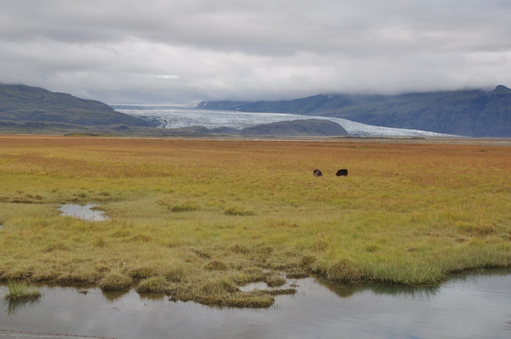 3 Vatnajokull glacier outlet