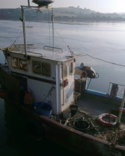 Boat on the River Torridge
