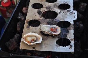BBQ oysters