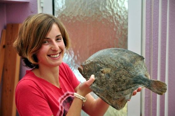 Passport and plate entry