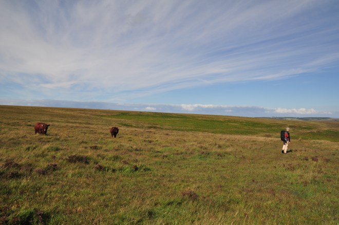 Exmoor National Park Gemma Chilton