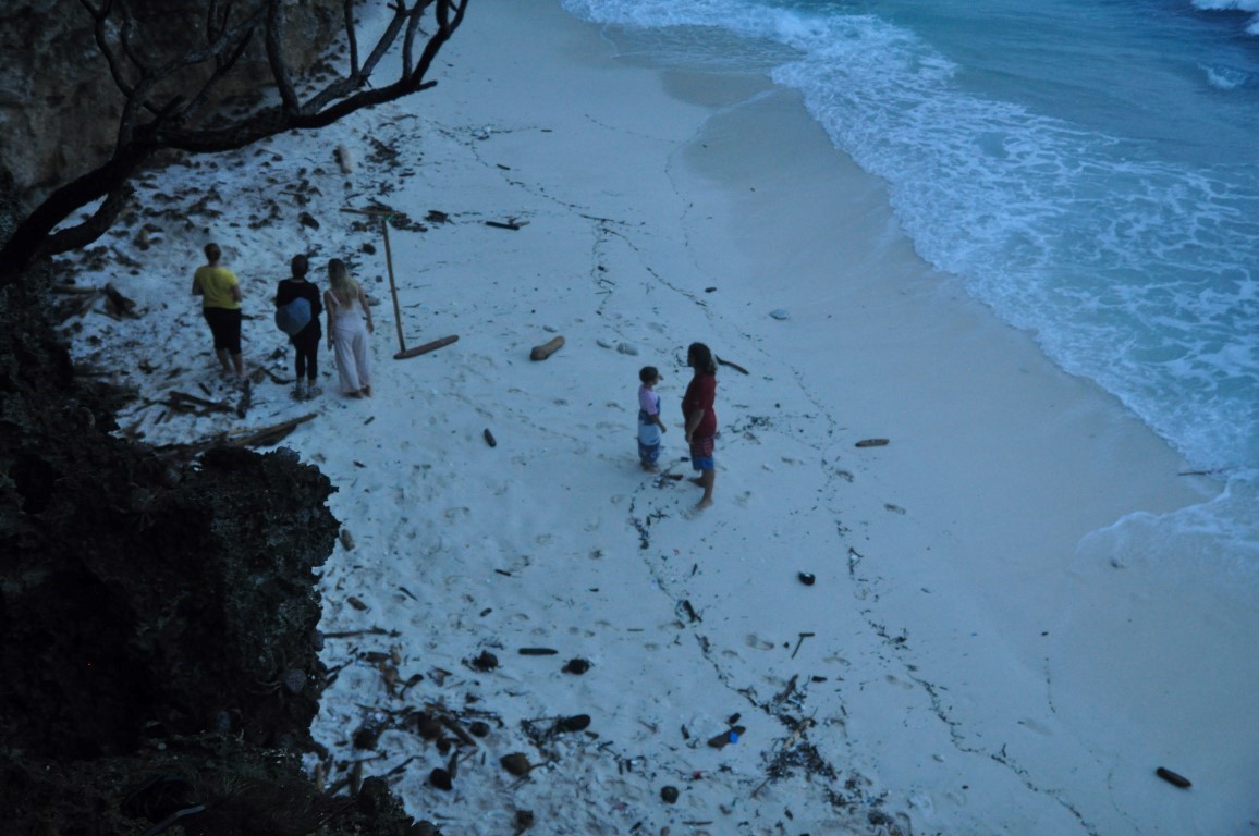 DSC_0597 (Medium) (Medium)