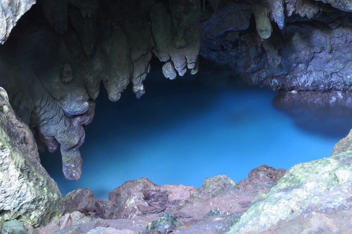 DSC_0626 (Medium) (Medium)