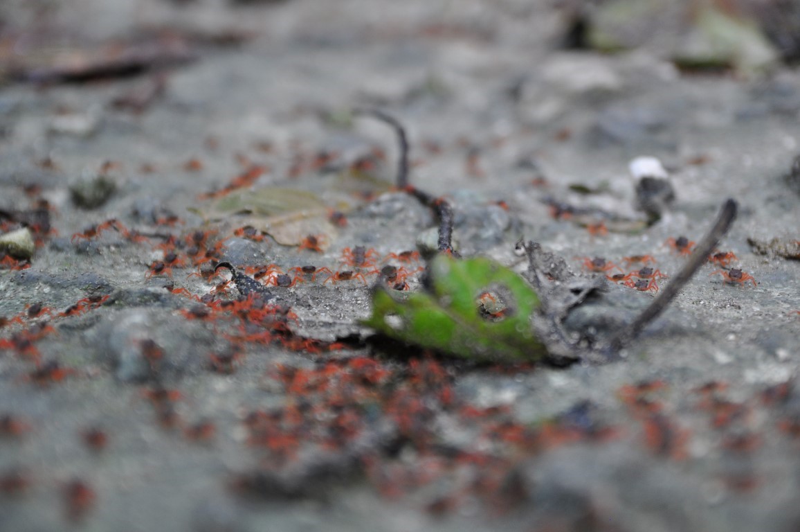 DSC_0646 (Medium) (Medium)