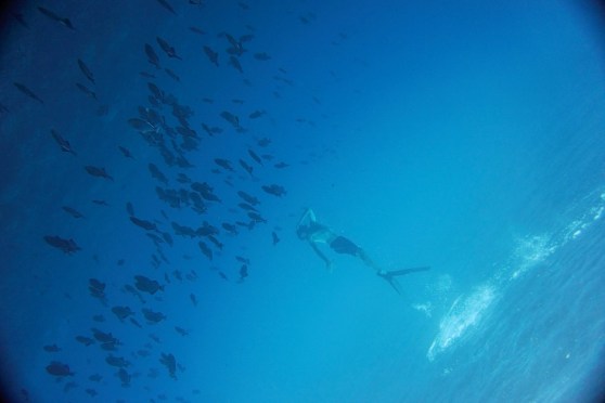 DSC03461 (Large) (Large)